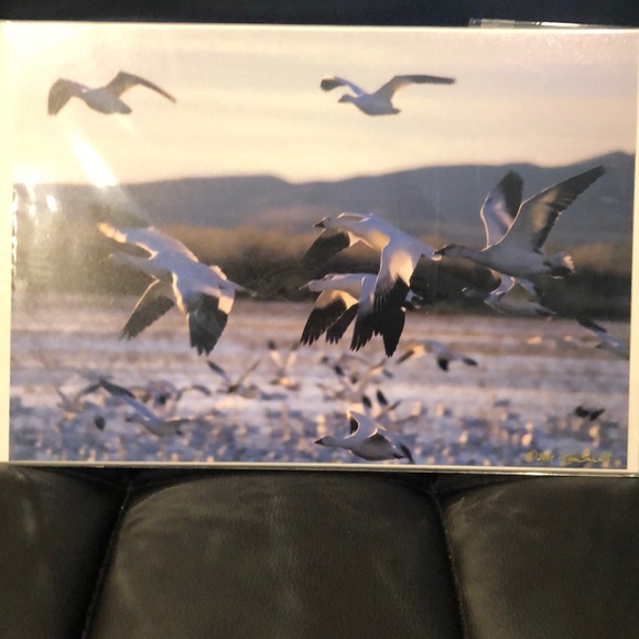 Signed photography - Picture 1 of 2